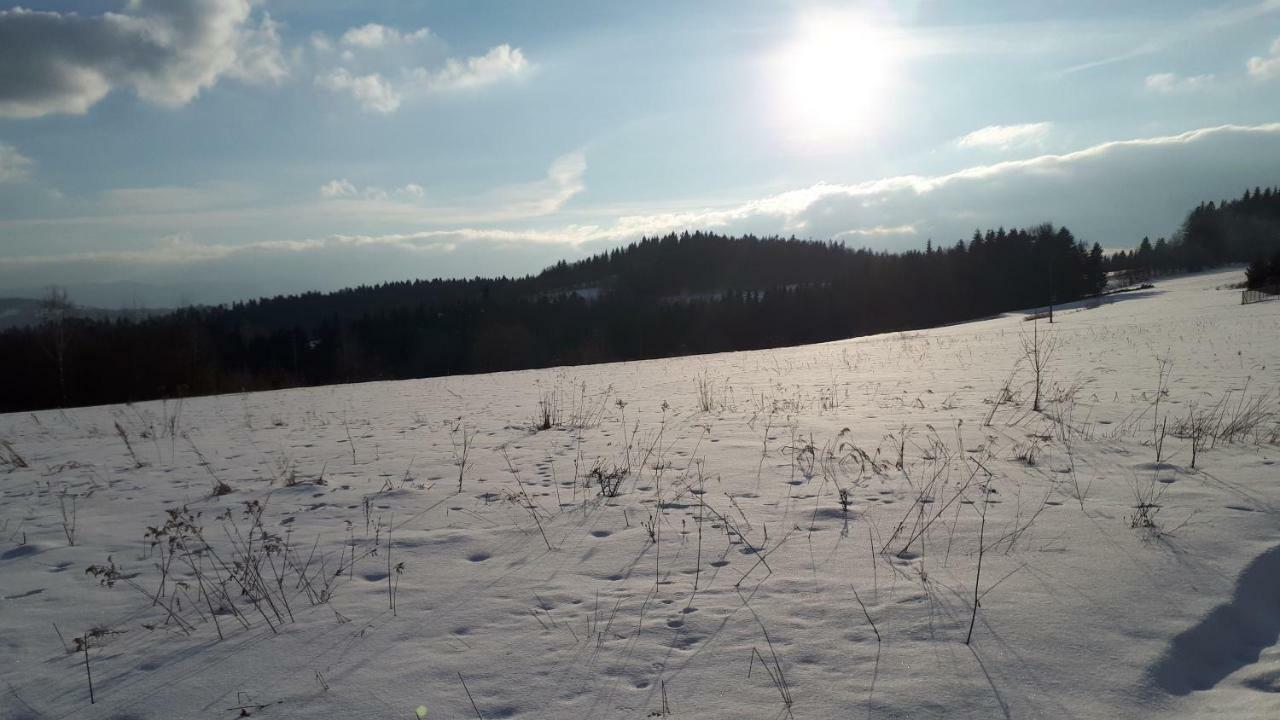 Domek W Beskidach Zachelmna Екстериор снимка